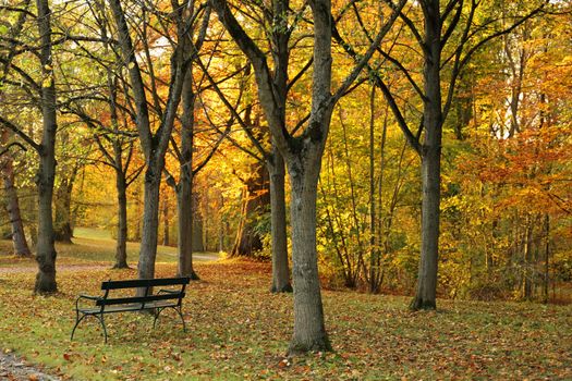 Enjoy a tranquil autumn day in a park with a peaceful bench amidst colorful foliage.