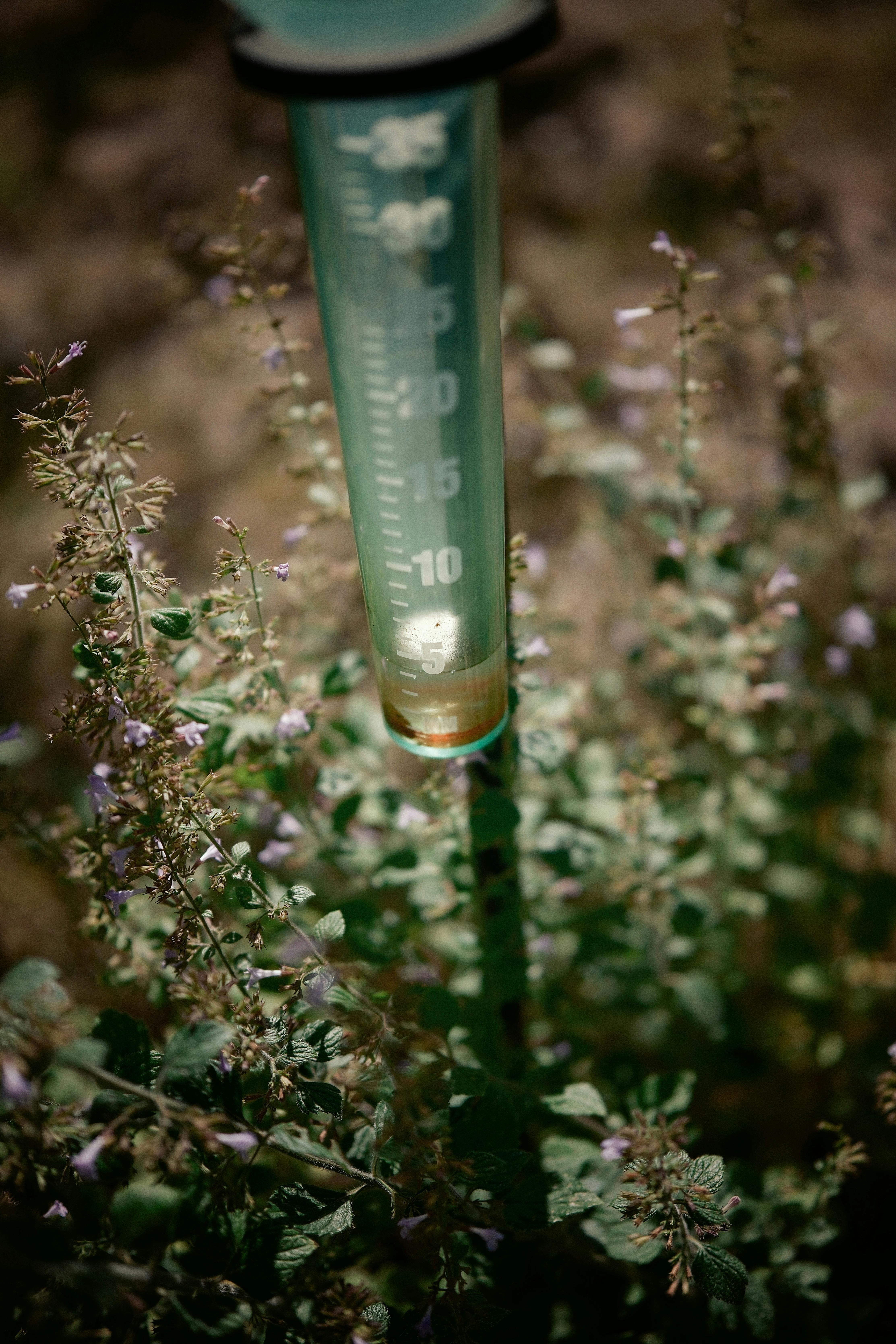 Why Do Dogs Have Wet Noses? Discover This Fascinating Truth! 6 How Weather Affects Your Dog’s Nose: The Role of Humidity and Temperature