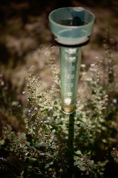 A rain gauge set amidst blooming wildflowers capturing rainfall.