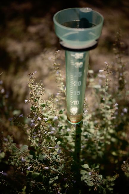 rain gauge measuring rainfall