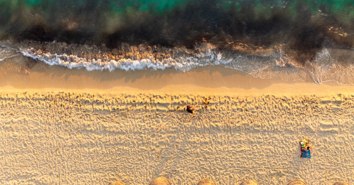 體驗沙灘椰子的悠閒生活 Coconut Simulator 2 Steam頁面正式公開