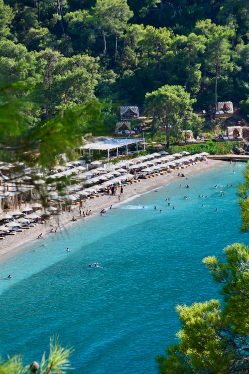Free Aerial view of a beach resort nestled in lush greenery with vivid blue waters. Stock Photo
