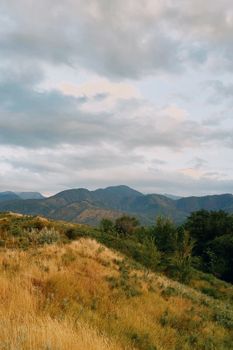 Beautiful landscape of lush greenery and mountains in Talgar, Almaty Region, Kazakhstan.