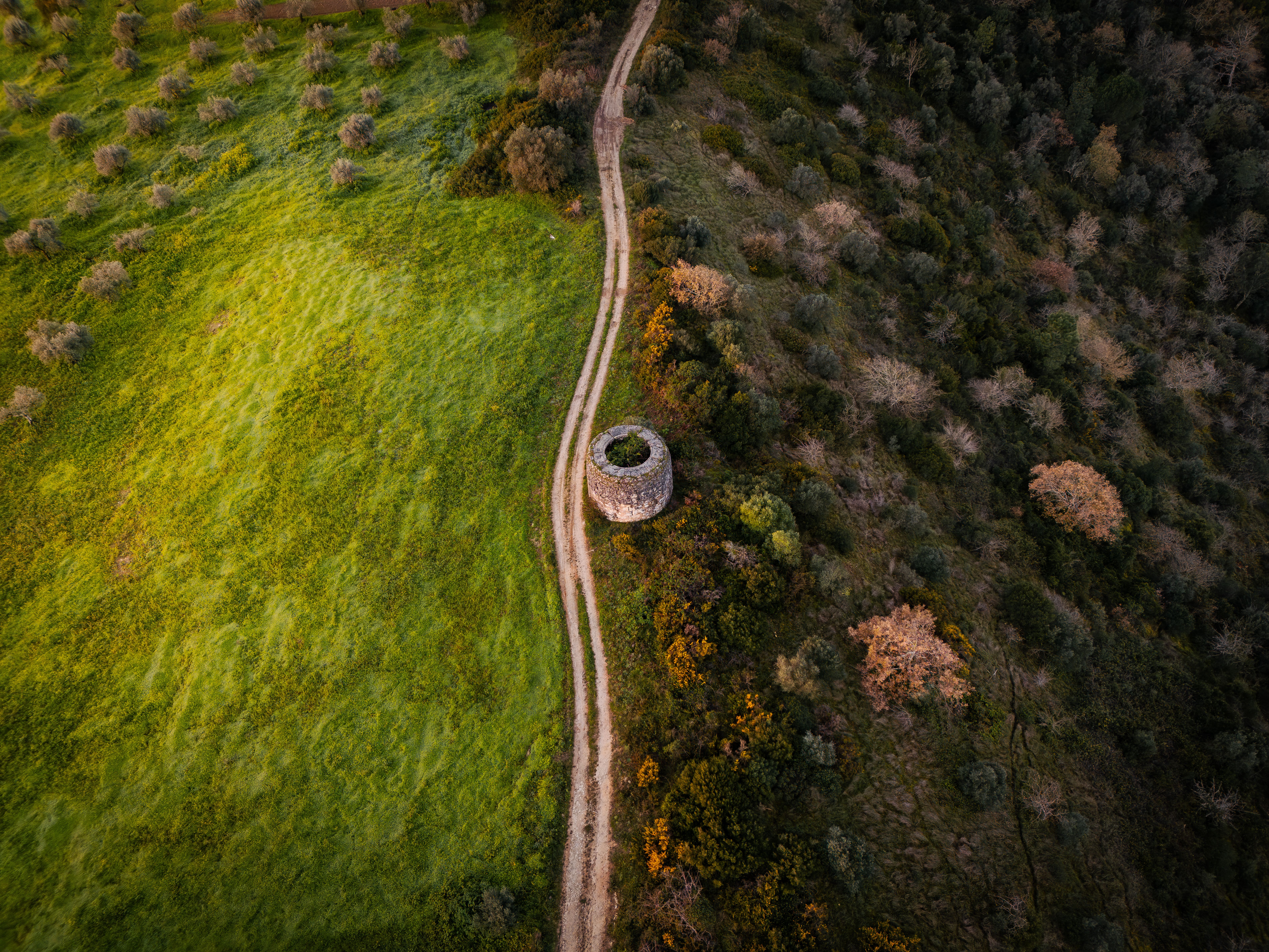 Car rental Portugal for cultural immersion: Your Corporate Guide
