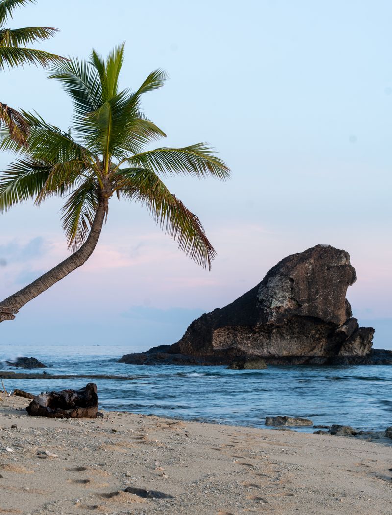 Scenic Fijian beach at sunrise with palm trees, Fiji