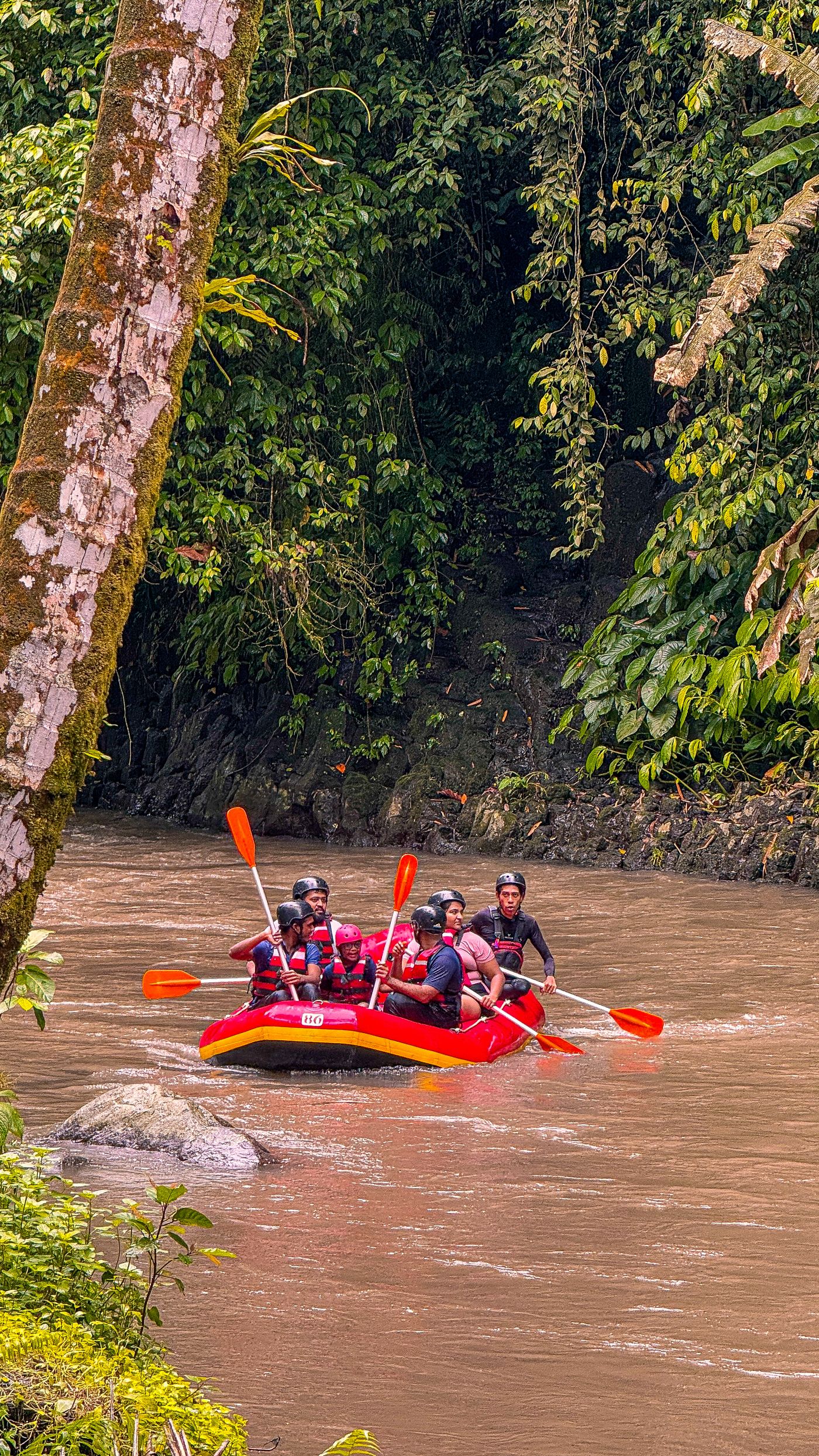 Ayung River White Water Rafting