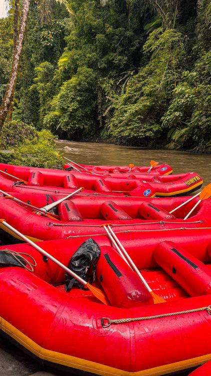 Red Riken Raft Red Rafts Lined Up by River in Tropical Forest · Free Stock Photo