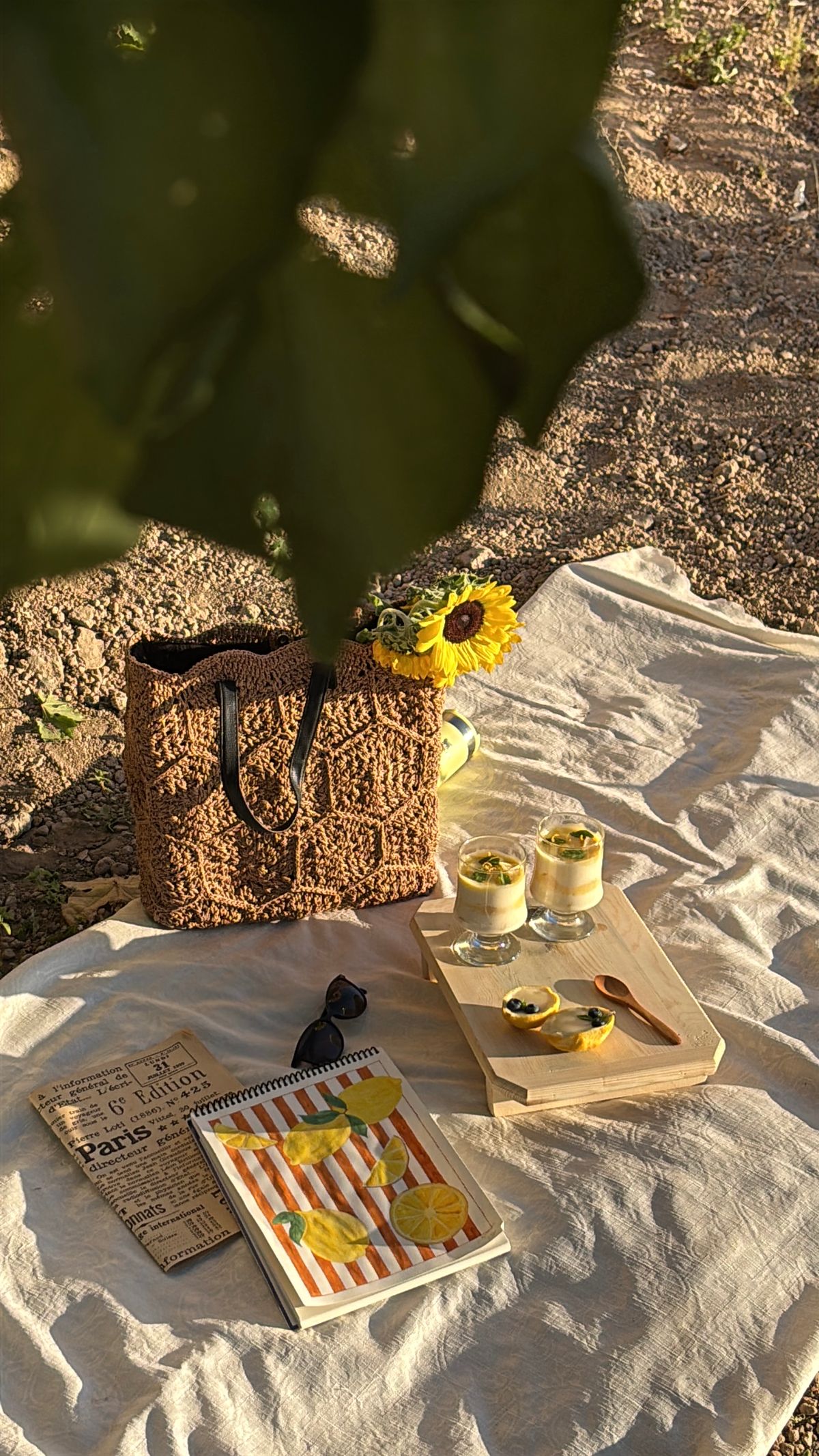 A sunny picnic with sunflowers and a brown raffia bag — the soft Parisian afternoon