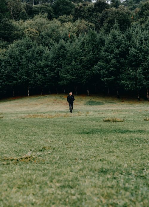 Free A solitary figure walks through a forested area in San Cristóbal de las Casas, Mexico, amidst lush greenery. Stock Photo