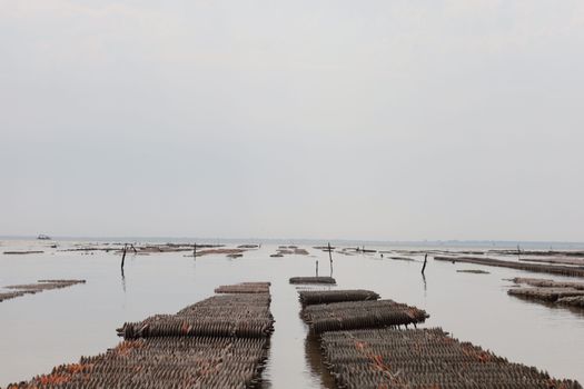 Arcachon oysters and Dune du Pilat — Bordeaux