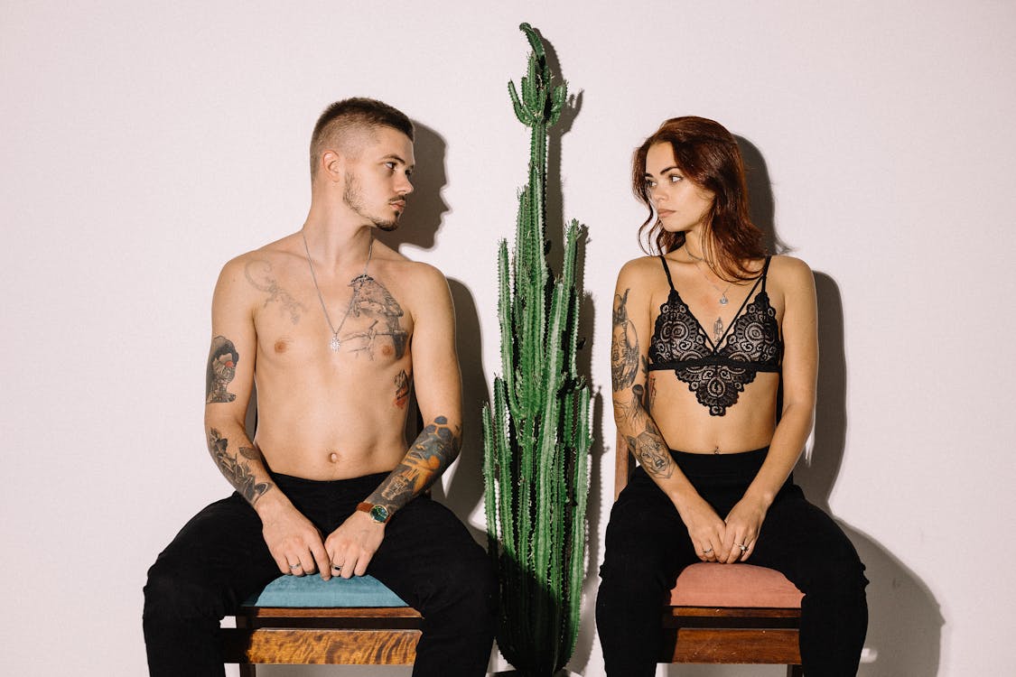 Photo Of People Sitting Beside Cactus Plant