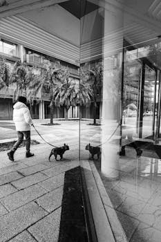 Argentina contemporánea