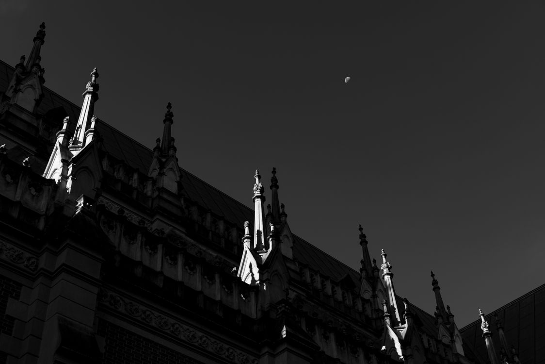 Dramatic Black and White View of Neo-Gothic Architecture · Free Stock Photo