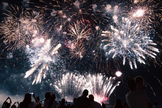 Vibrant fireworks illuminating the night sky over a crowd of spectators. Captured during a festive celebration.