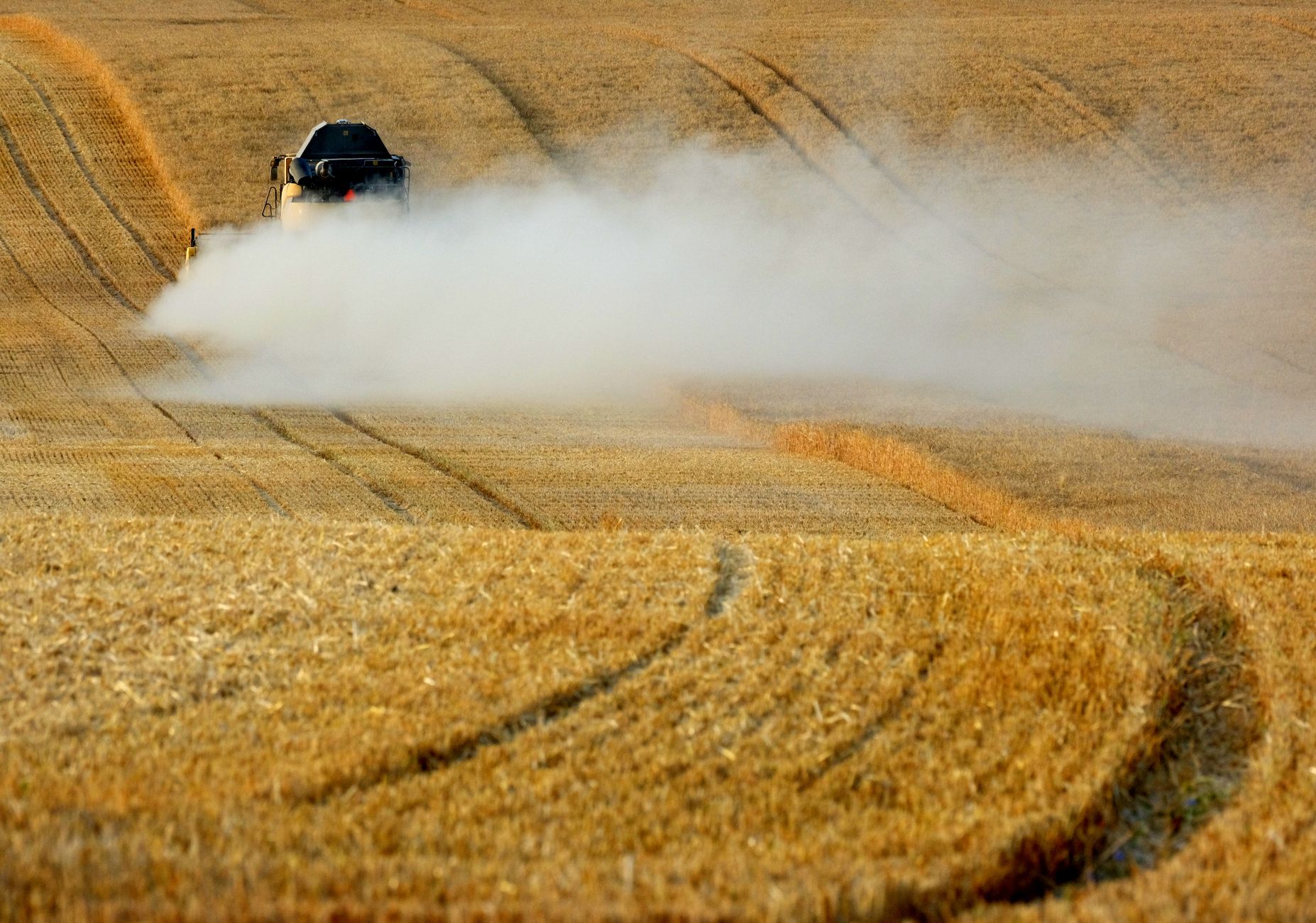 Record Crop Harvests Transform U.S. Agricultural Landscape in 2026