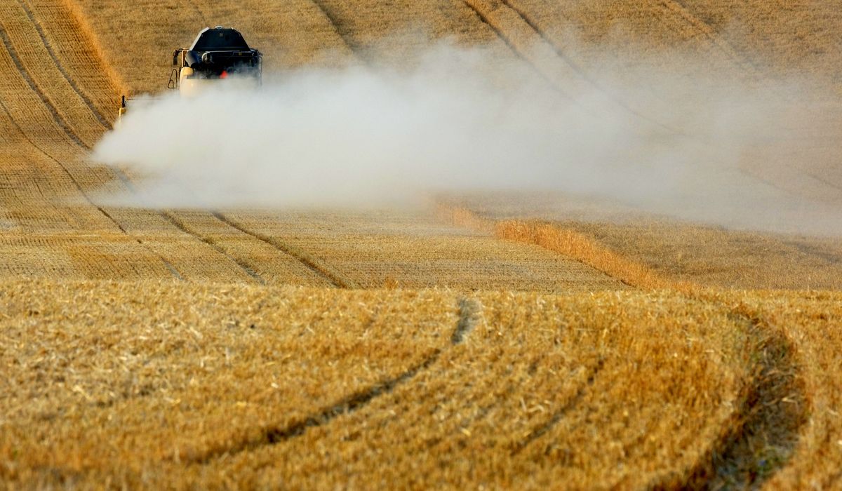 Miel chilena en China: US$1.176 millones de mercado y solo 1.680 kg exportados