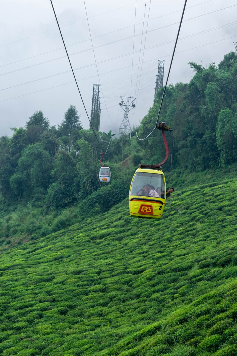 Tiger Hill