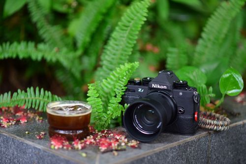 Free Nikon camera next to iced coffee on stone ledge surrounded by ferns, outdoors. Stock Photo