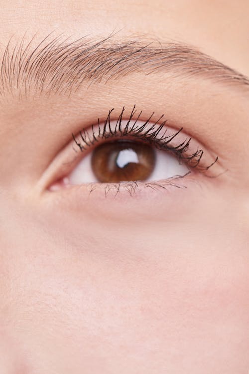 Free Woman's Brows With Mascara Stock Photo