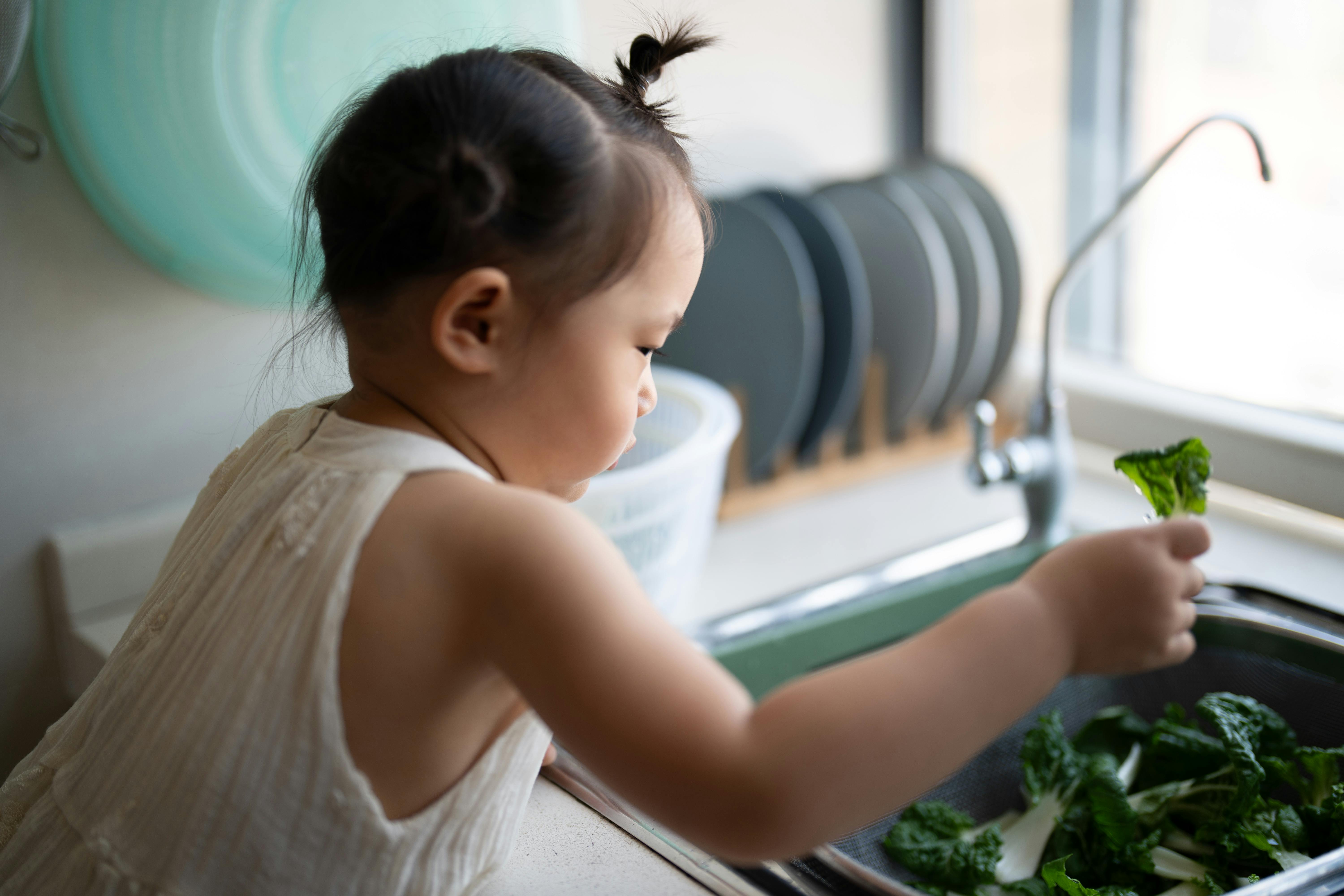 Exploring Hidden Links Between Nutrition and Memory Boosting