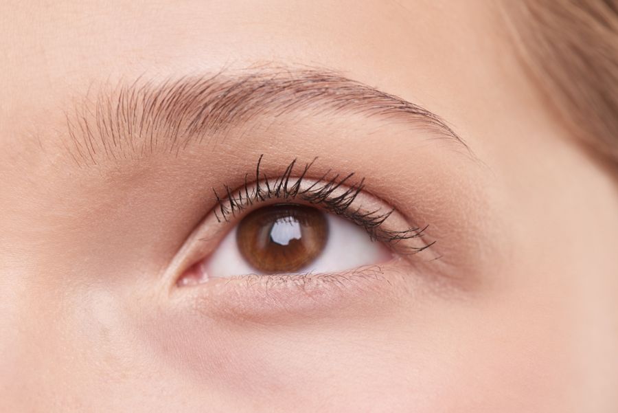 Close view of a natural brow above a brown eye