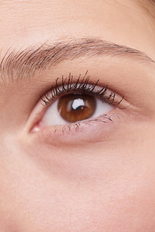 Free Close-Up Photo Of Person's Eye Stock Photo