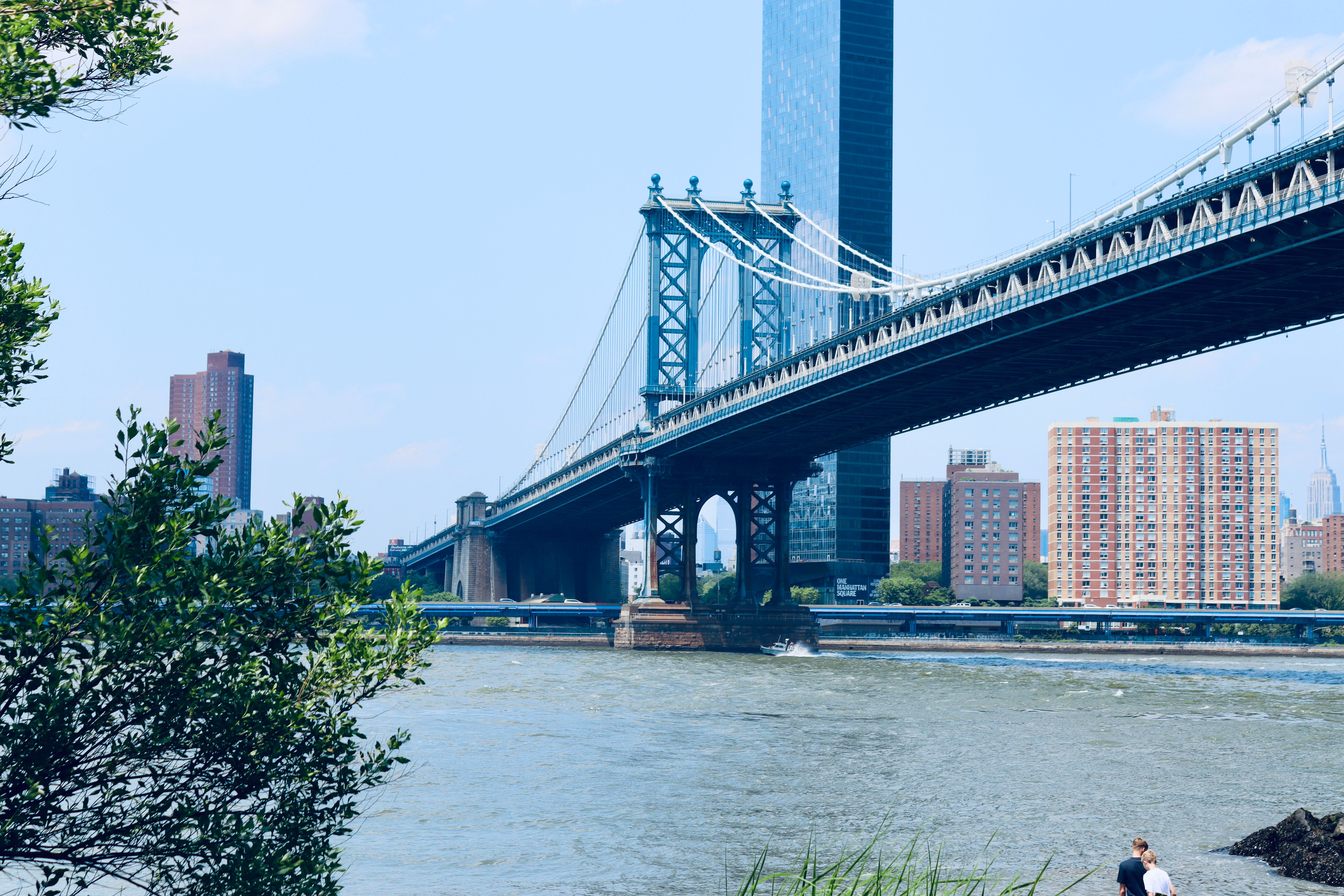 SEO For Pool Companies in New York, NY