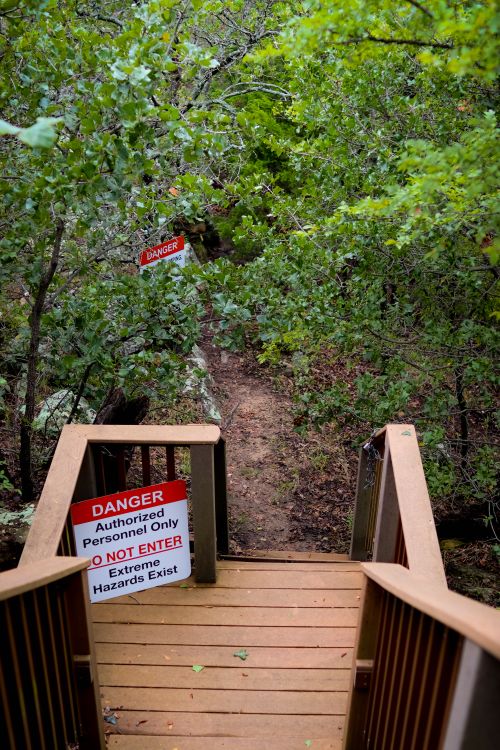 Free Stairway in a forest with warning signs indicating danger and restricted access. Stock Photo