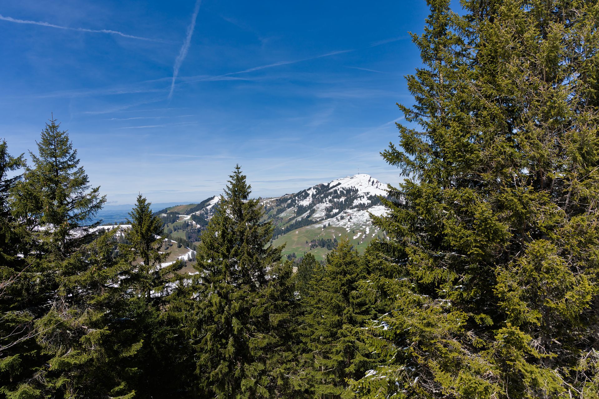 Beautiful landscape of Mount Rigi with evergreen trees and snow-covered peaks on a clear day.