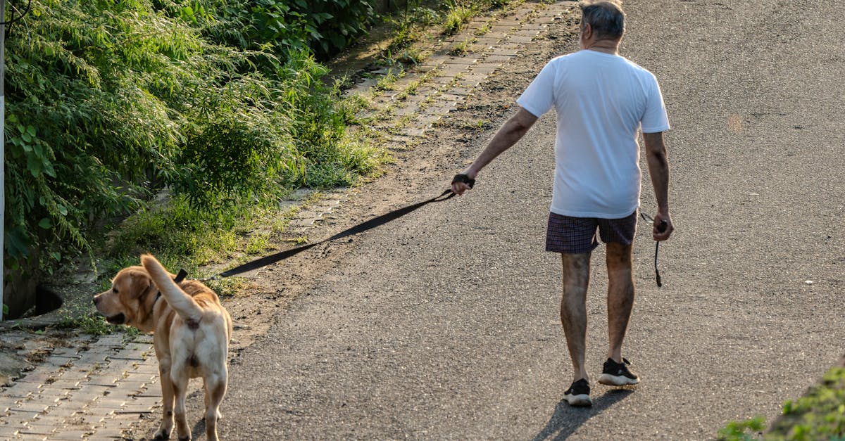 台灣首位生活型態醫學醫師蔡孟修專訪 從生活下處方 精準個人化又易實踐