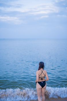 Peaceful scene of a woman in a black bikini standing at the beach, looking at the ocean.