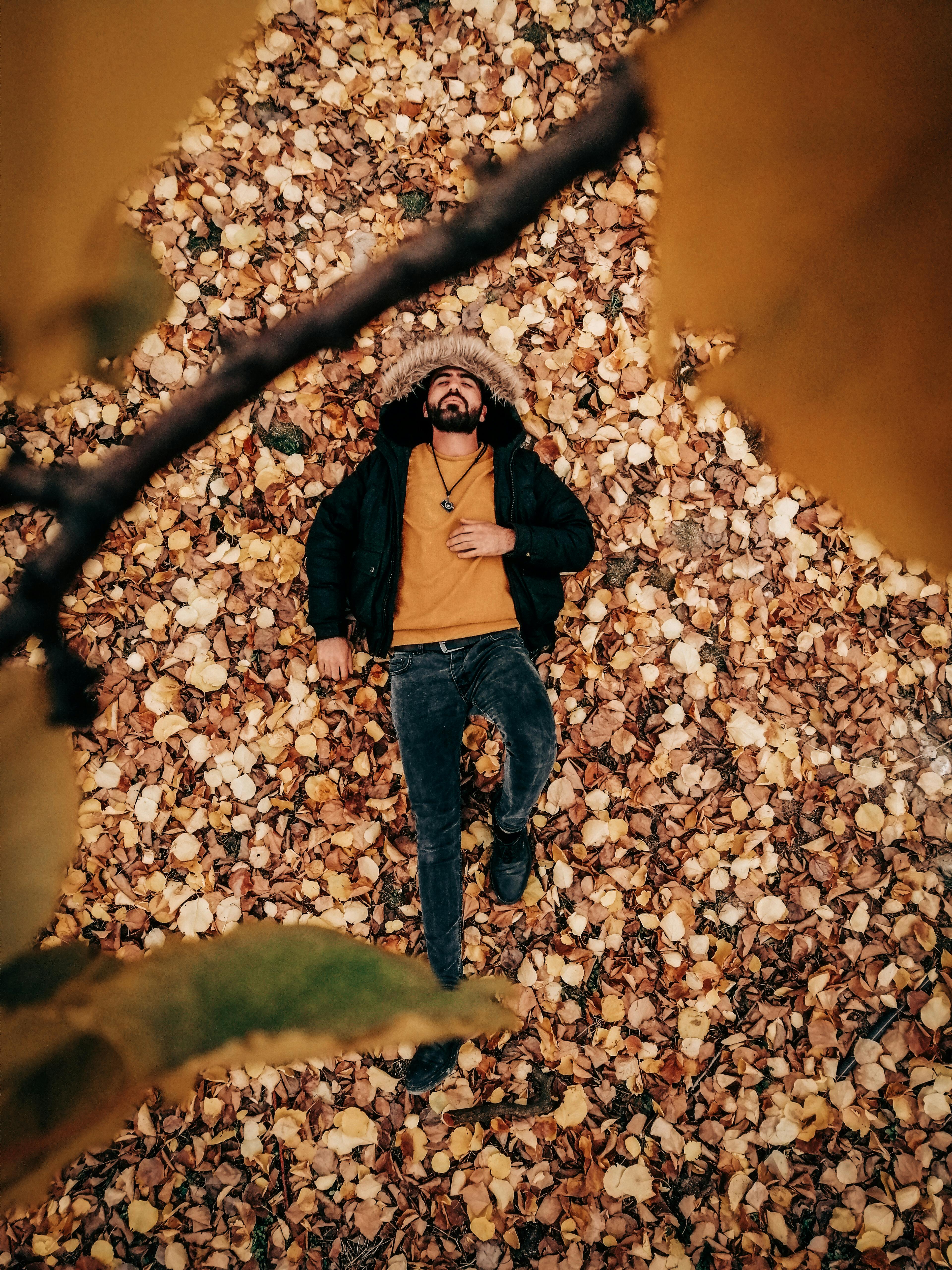 photo of man laying on dried leaves