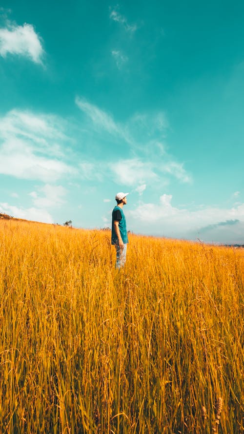 Man Standing on the Grass Field