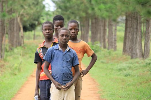 Four Ugandan boys standing on a tree-lined path, showcasing unity and friendship.