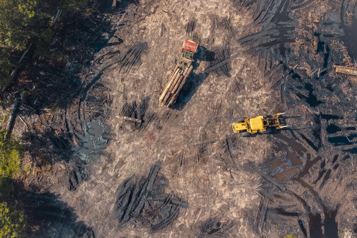 Aerial view of a truck carrying a full timber load