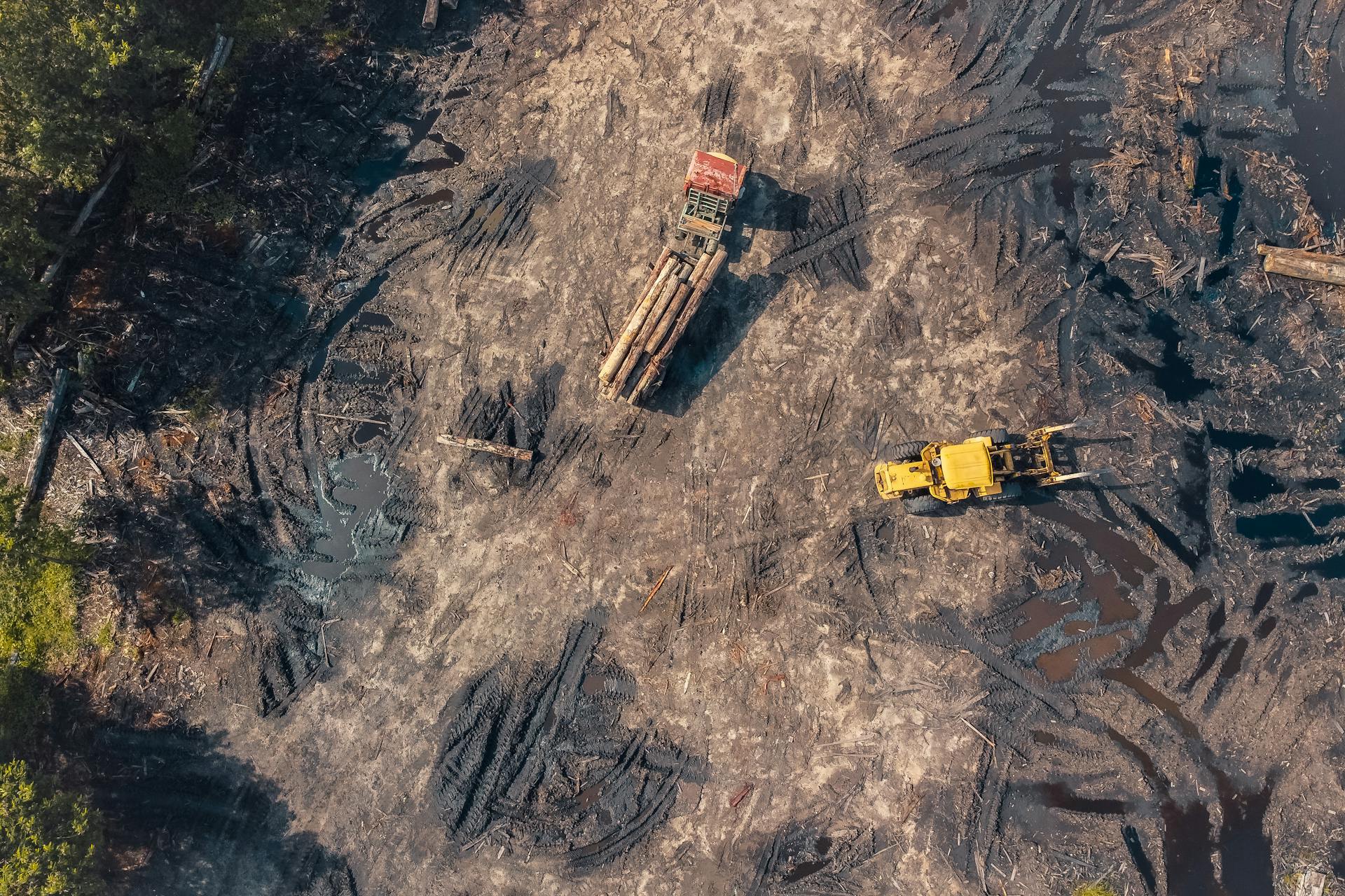 Aerial Photo of Truck Carrying Timber