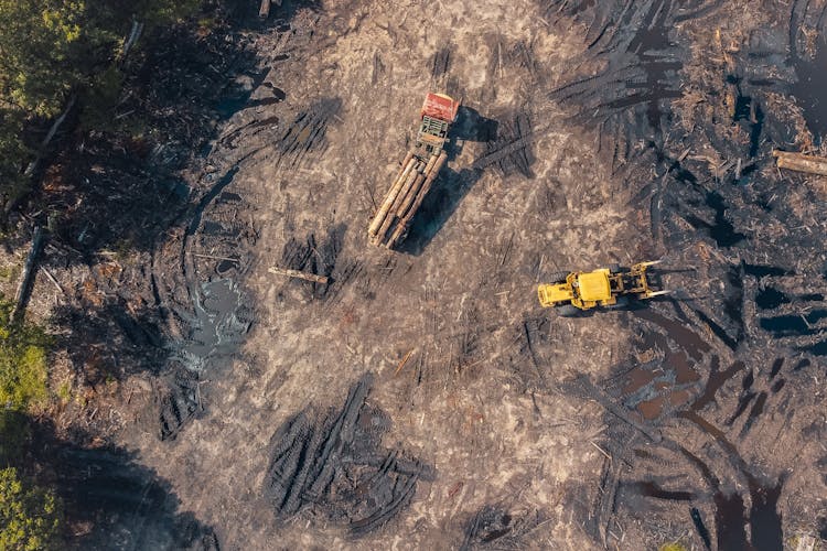 Aerial Photo Of Truck Carrying Timber