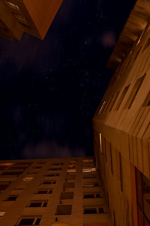 Free stock photo of building, city night, night