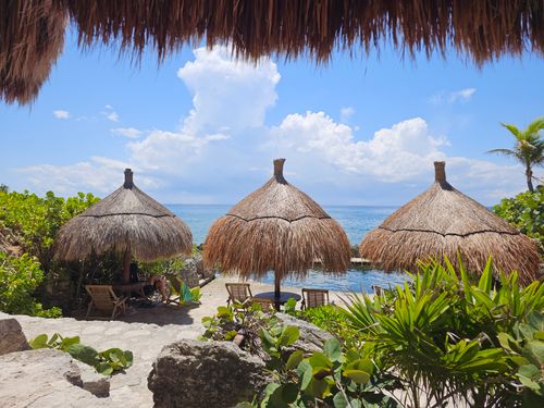Free Scenic view of tropical beach resort with thatched palapa umbrellas and ocean backdrop. Stock Photo