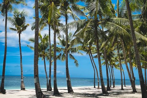 Private Beach Ceremonies Alibaug