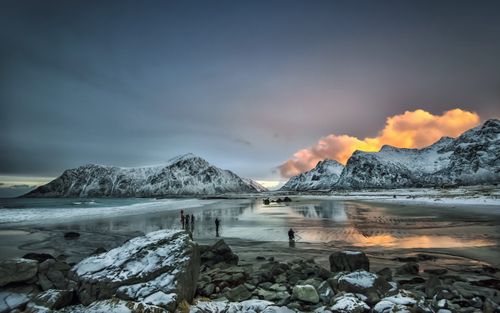 Free Sunset reflects over snowy mountains and coastline in Flakstad, Norway, creating a breathtaking scene. Stock Photo