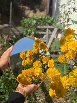 Bright yellow flowers reflected in a handheld round mirror outdoors, capturing vibrant natural beauty.