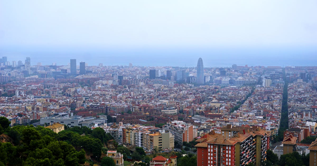 Une délicieuse paella servie dans un restaurant barcelonais