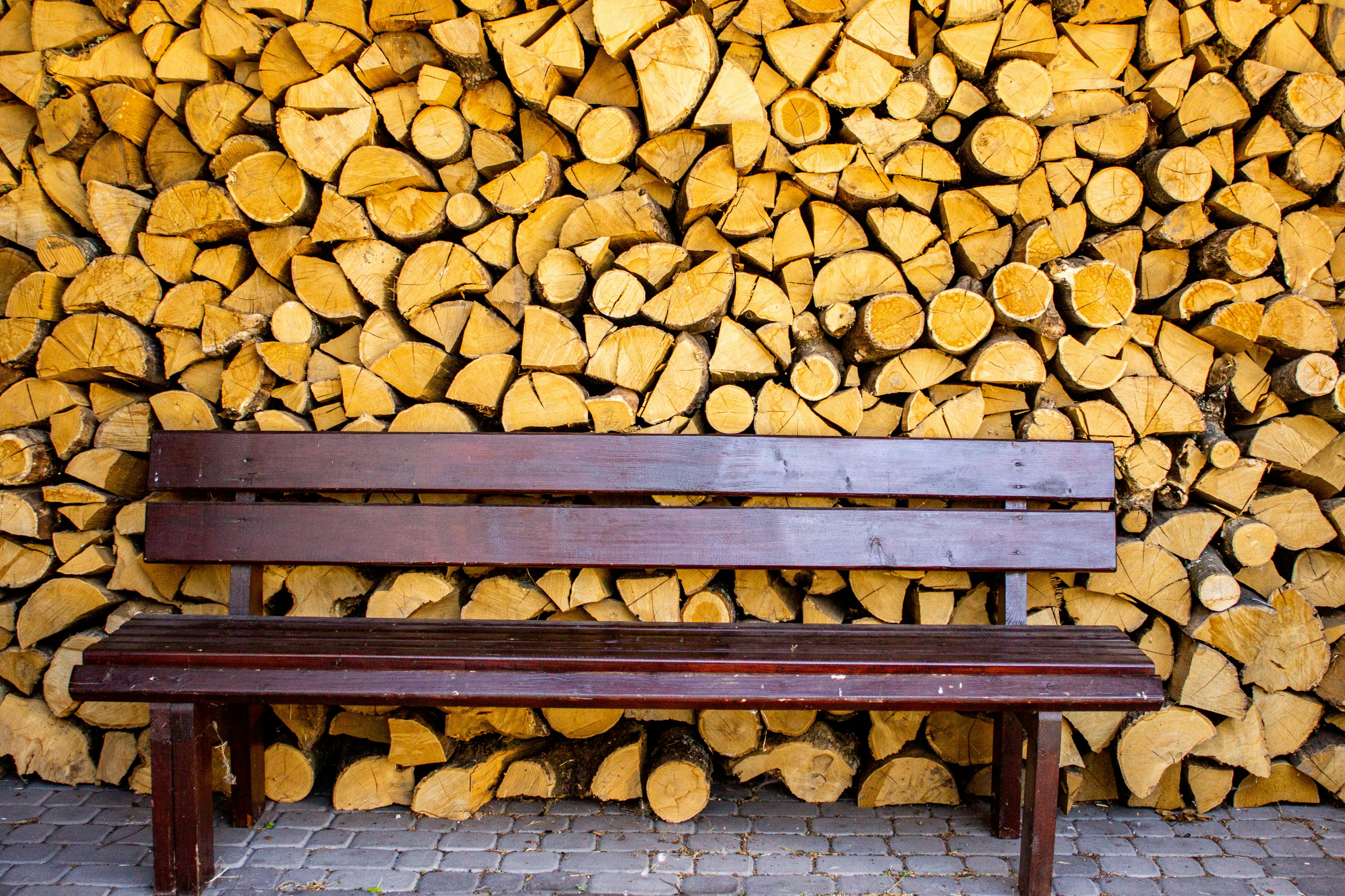 We Hauled Rocks, Stacked Wood, and Planted Seeds to Find the Best Gardening Gloves — Photo by Natalia Sevruk on Pexels
