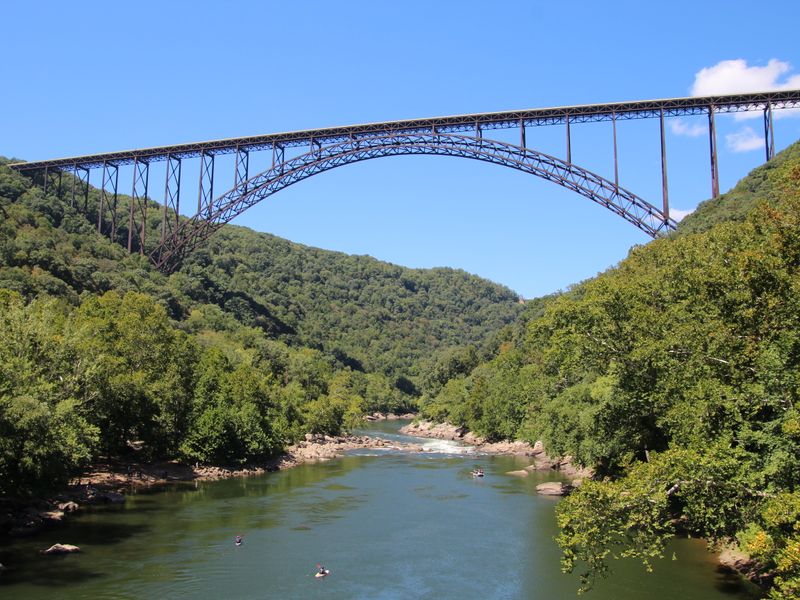 Deep forested gorge with a river far below