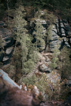 Discover the rugged beauty of a forest pathway through Saxon Switzerland National Park in Germany.