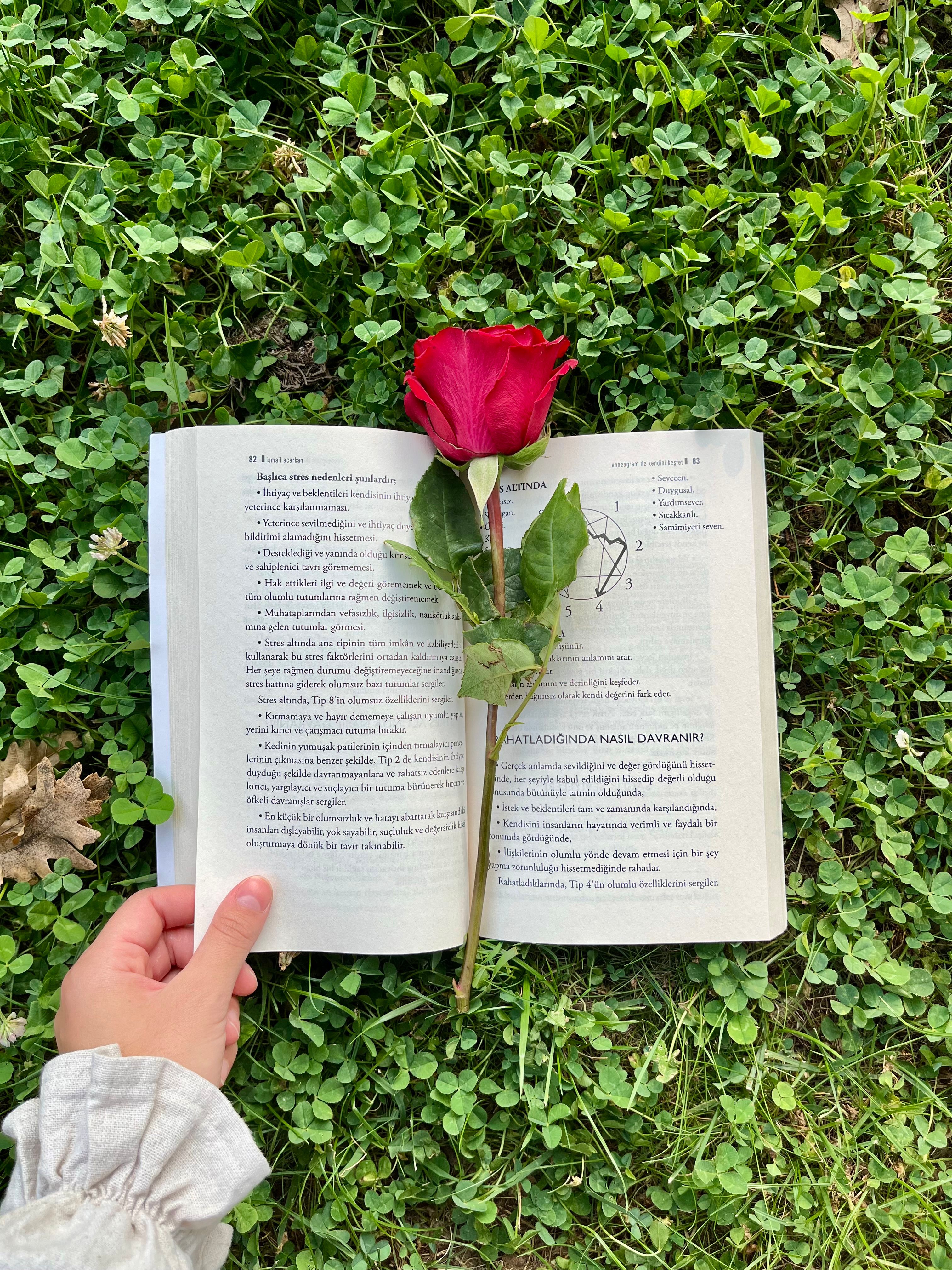 A vibrant red rose placed on an open book, set against green grass, highlighting romance and leisure.