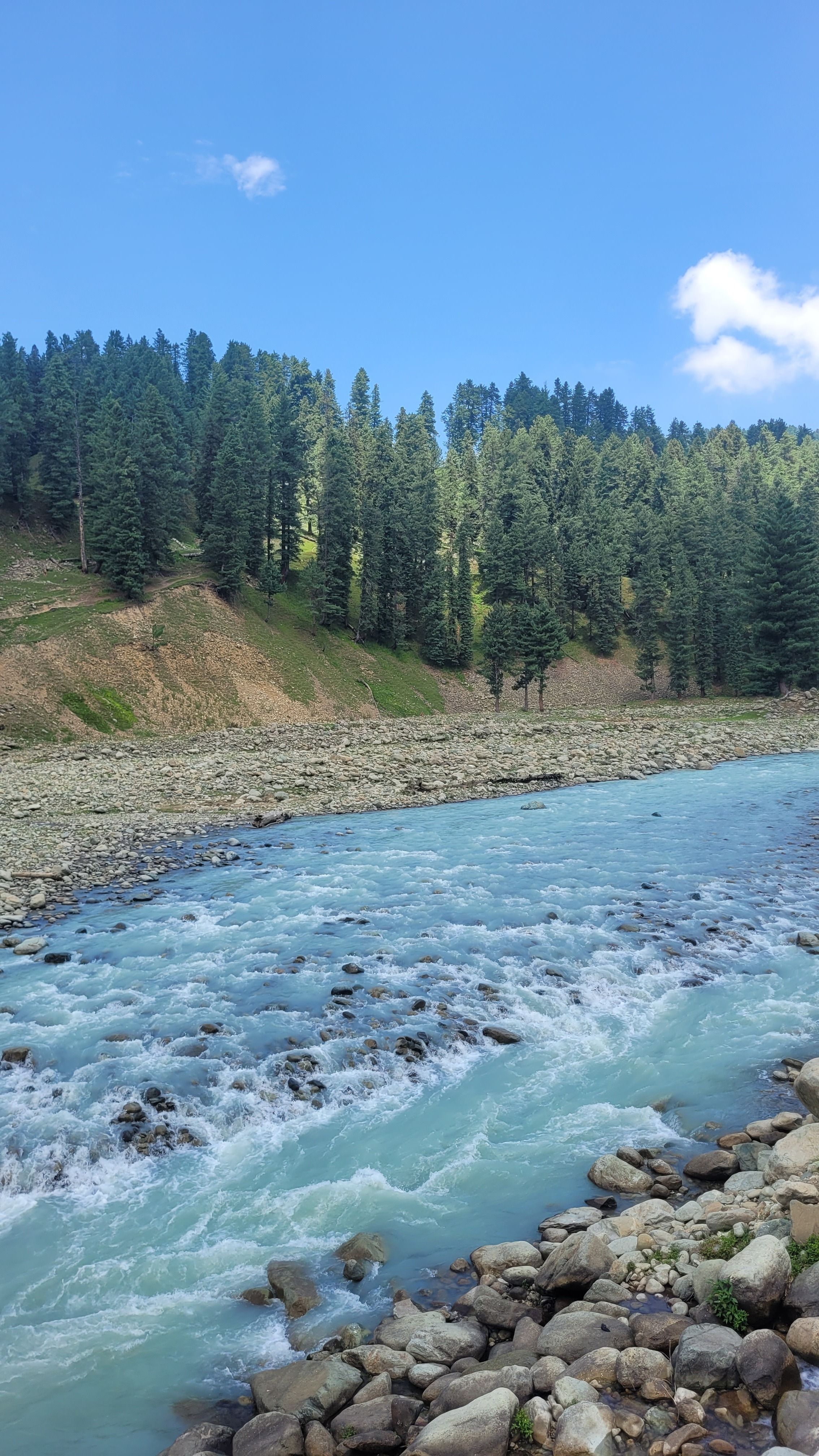 Tranquil river flowing through lush evergreen forest and rocky terrain under a clear blue sky.