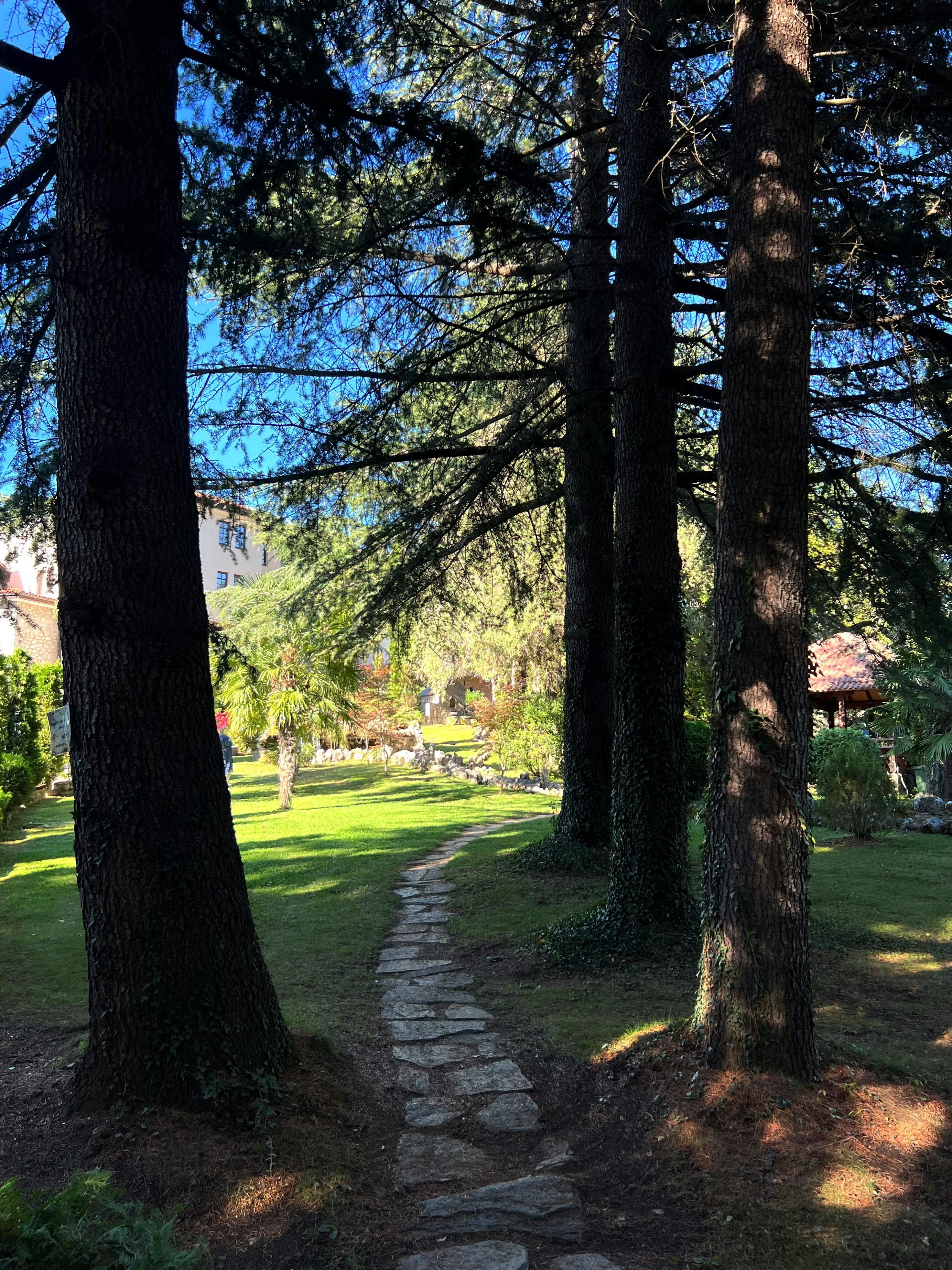 Robux Image Photos, Download The BEST Free Robux Image Stock Photos ...