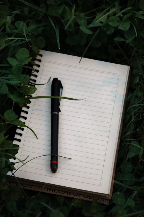 Free Open notebook with a pen on grass, perfect for writing ideas. Stock Photo